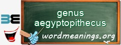 WordMeaning blackboard for genus aegyptopithecus